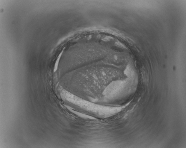 X0000068891494200605261832