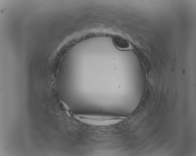 X0000068891495200605261832