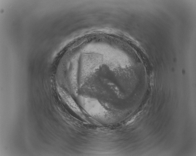 X0000068891496200605261832