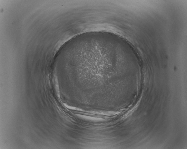 X0000068891497200605261832