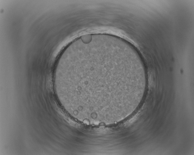 X0000068891498200605261832