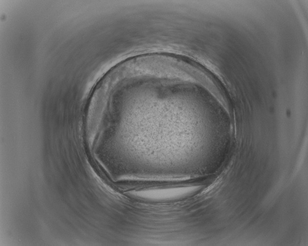 X0000068891500200605261832