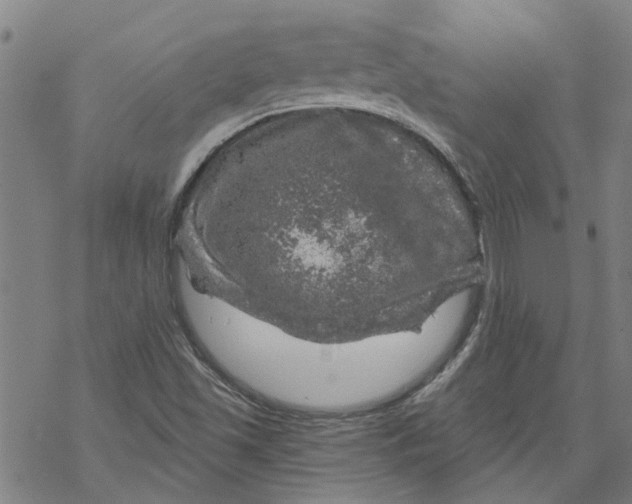 X0000068891501200605261833