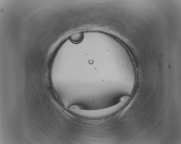 X0000068891502200605261833