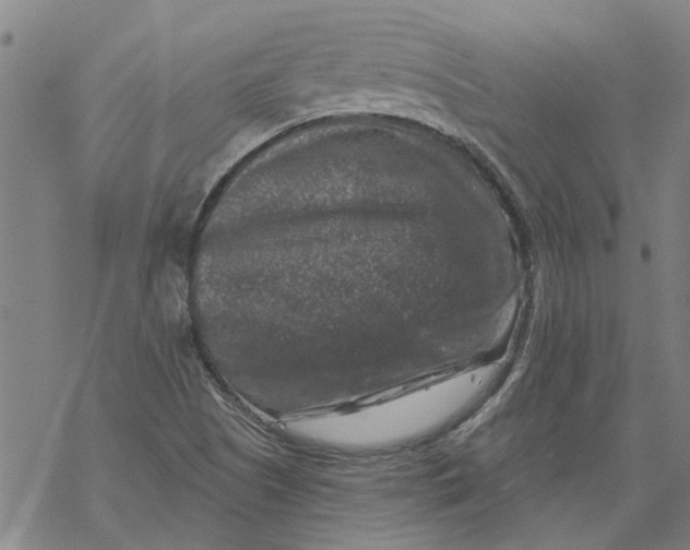 X0000068891505200605261833