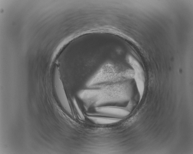 X0000068891506200605261833