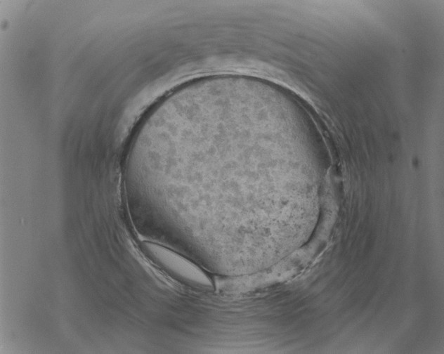 X0000068891507200605261833