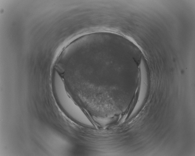 X0000068891508200605261833