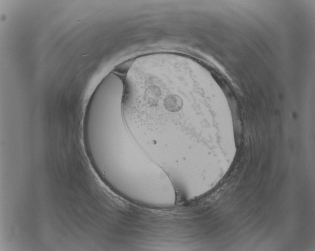 X0000068891512200605261833