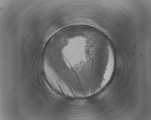 X0000068891513200605261833