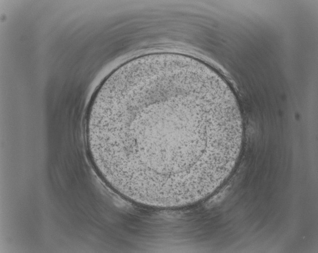 X0000068891514200605261833