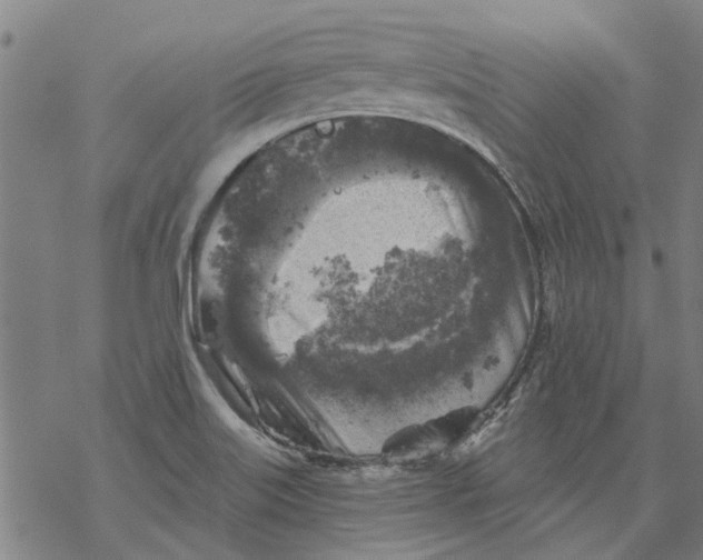 X0000068891515200605261833