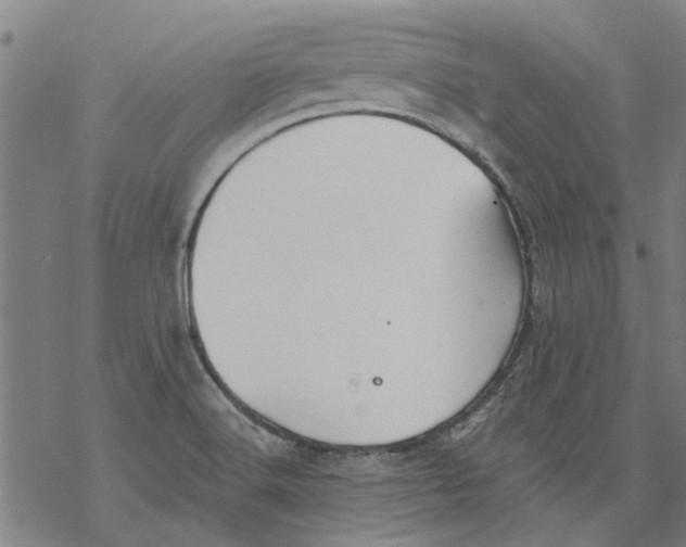 X0000068891516200605261833