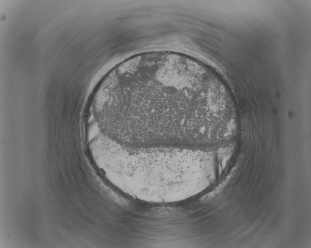 X0000068891517200605261833