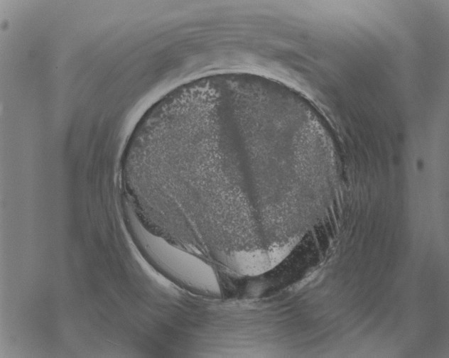 X0000068891519200605261833