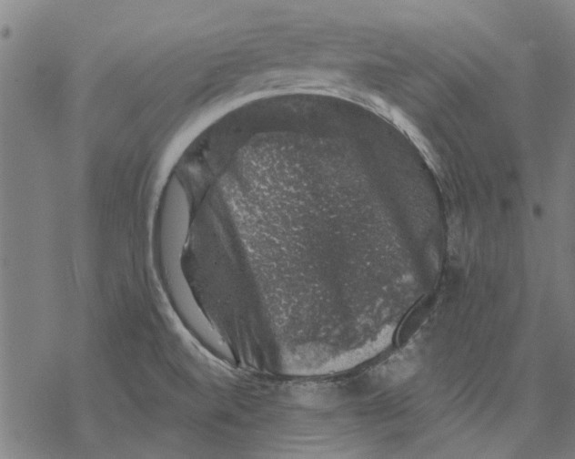 X0000068891520200605261833