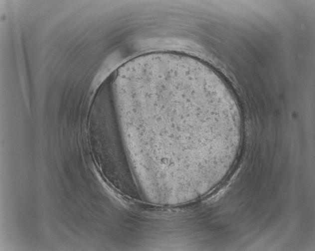 X0000068891521200605261833