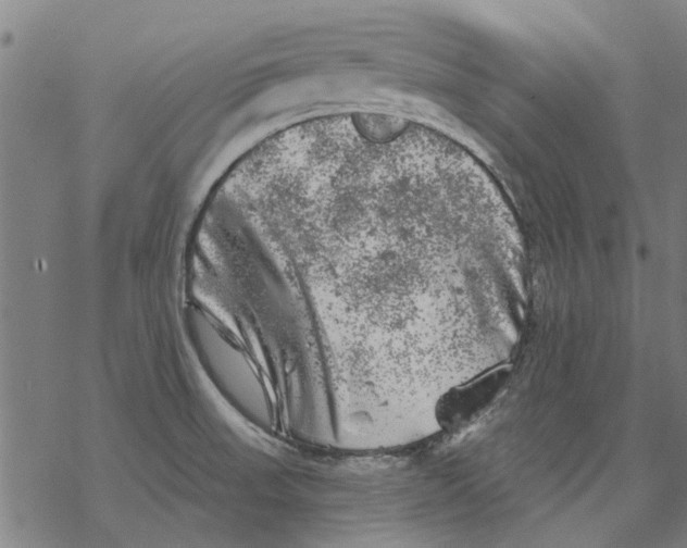 X0000068891523200605261833