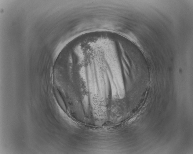 X0000068891524200605261833