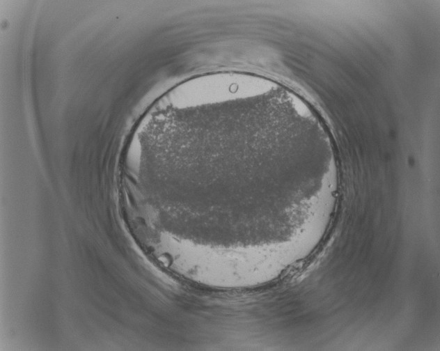 X0000068891525200605261833