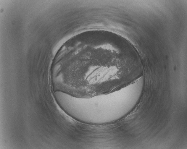 X0000068891527200605261833