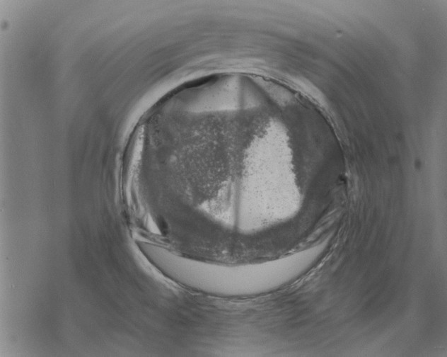 X0000068891528200605261833