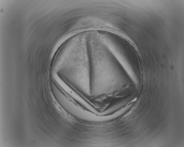 X0000068891530200605261833