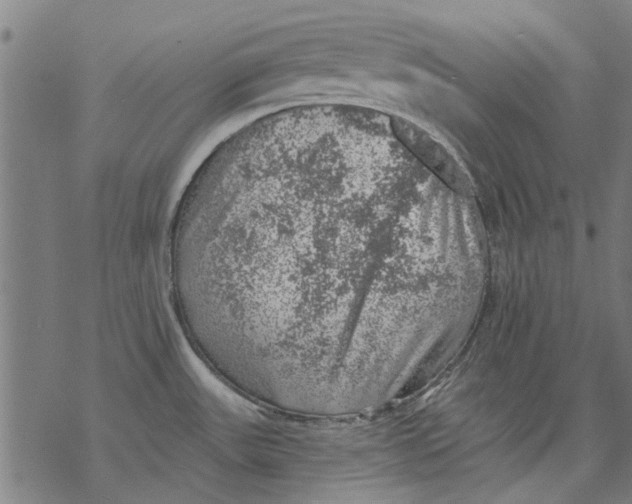 X0000068891531200605261833