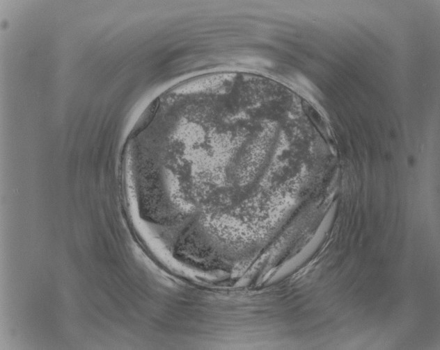 X0000068891532200605261833