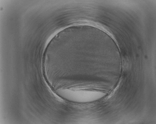 X0000068891533200605261833