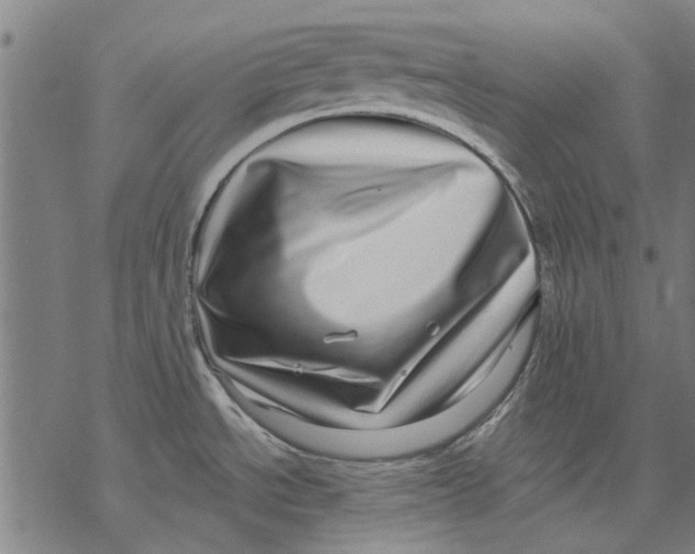 X0000068891534200605261833