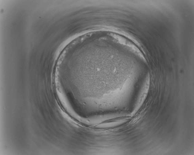 X0000068891535200605261833