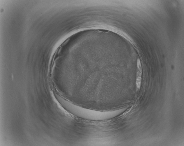 X0000068891536200605261833