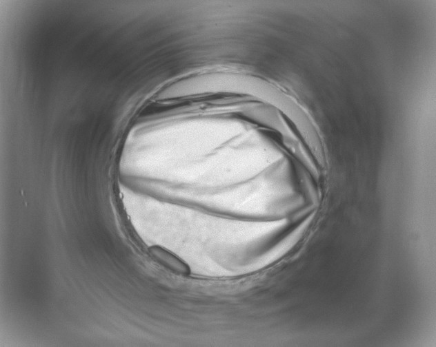 X0000068890001200606021931