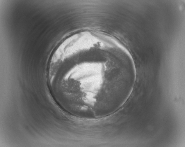 X0000068890002200606021931