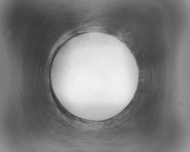 X0000068890004200606021931