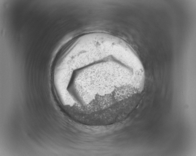 X0000068890006200606021931