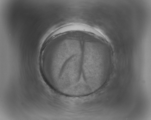 X0000068890007200606021931