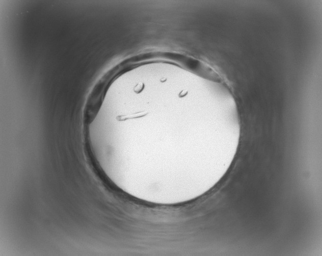 X0000068890008200606021931