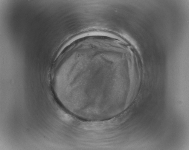 X0000068890009200606021931