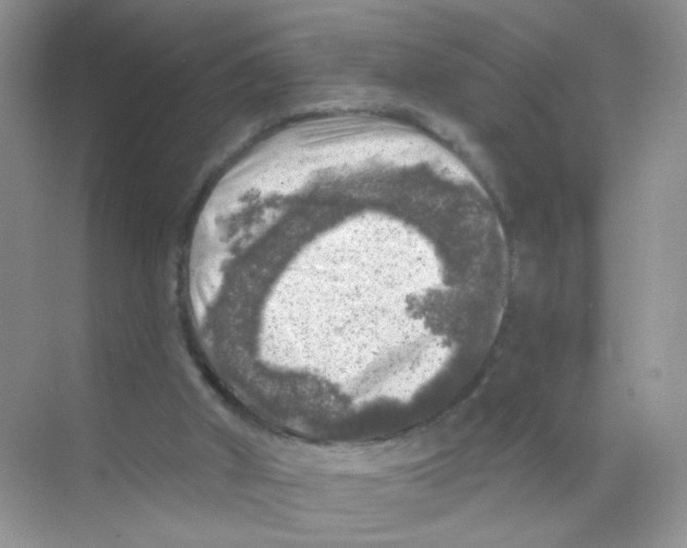 X0000068890010200606021931