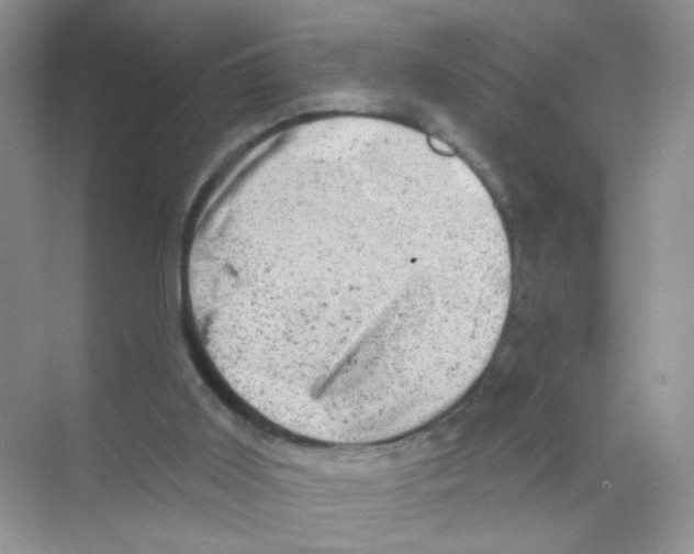 X0000068890011200606021931