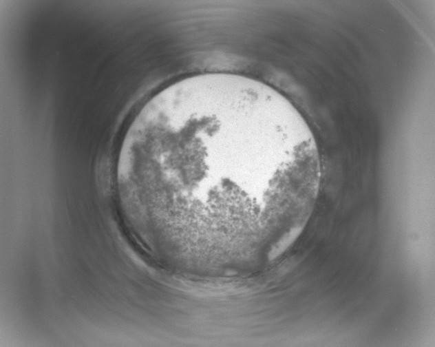 X0000068890012200606021931