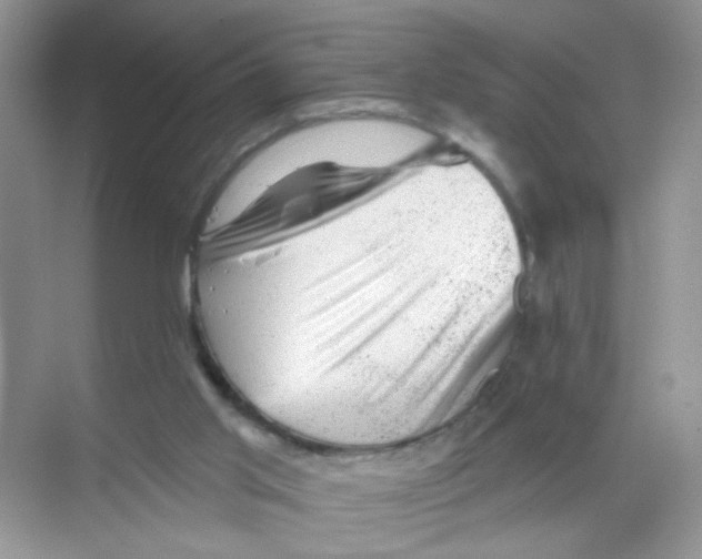 X0000068890013200606021931