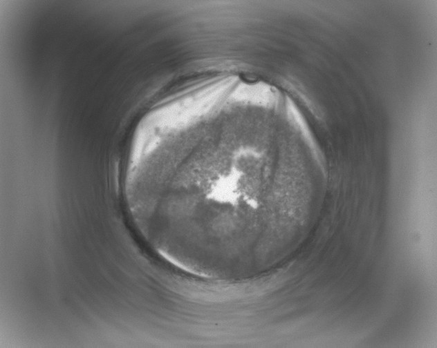 X0000068890014200606021931