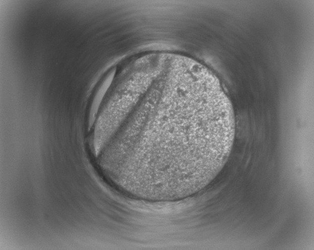 X0000068890015200606021931