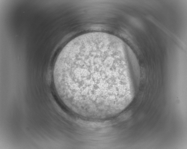 X0000068890016200606021931