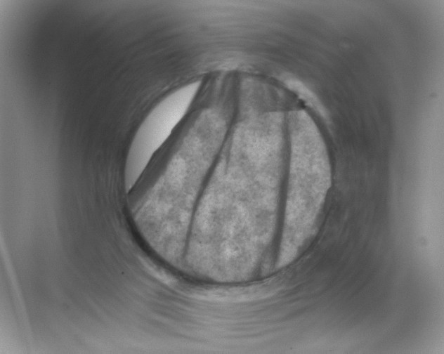 X0000068890017200606021931