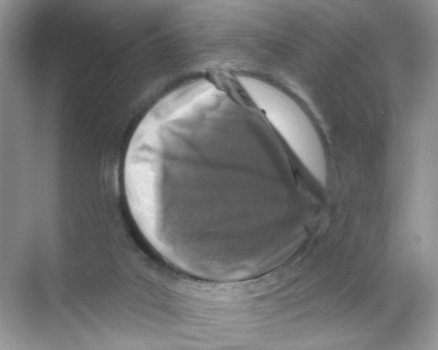 X0000068890019200606021931