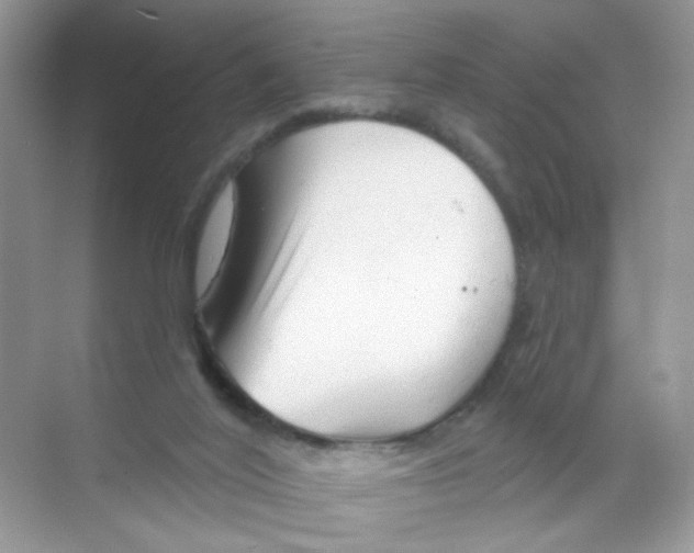 X0000068890020200606021931